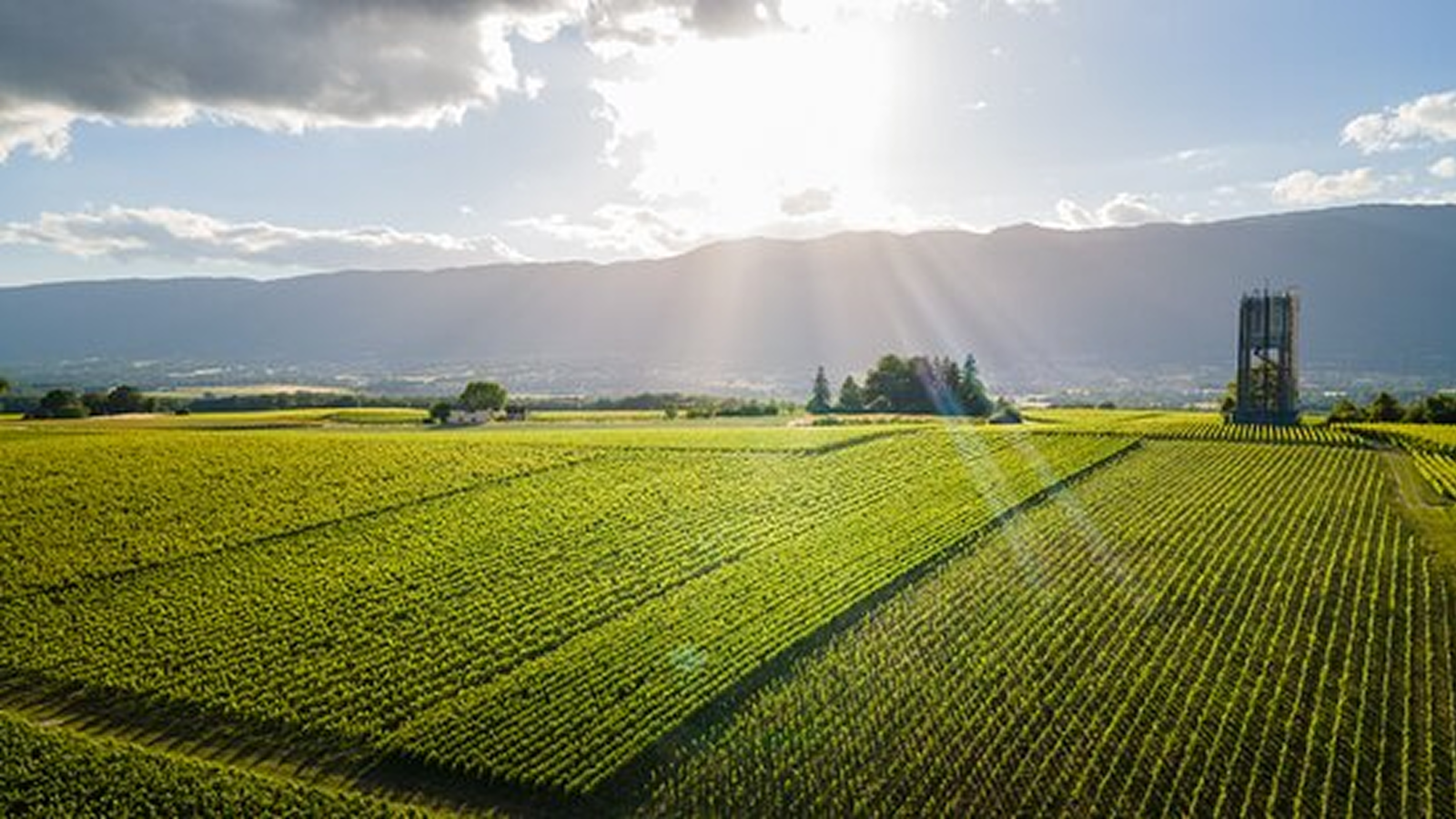 vue-de-drone-au-dessus 1
